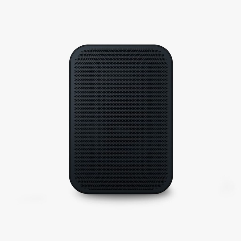 Bluesound Pulse Flex 2i wireless speaker
