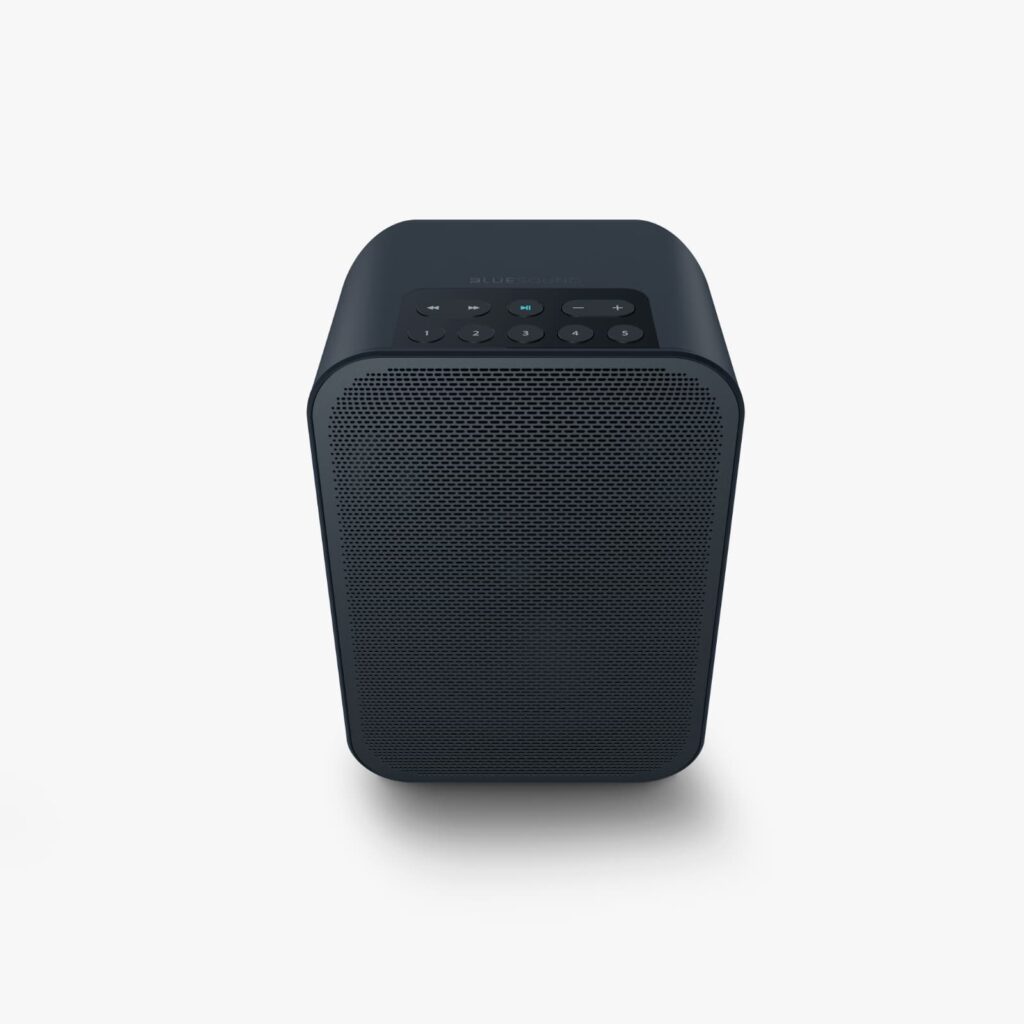 Bluesound Pulse Flex 2i wireless speaker