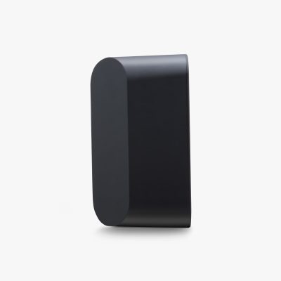 Bluesound Pulse Flex 2i wireless speaker