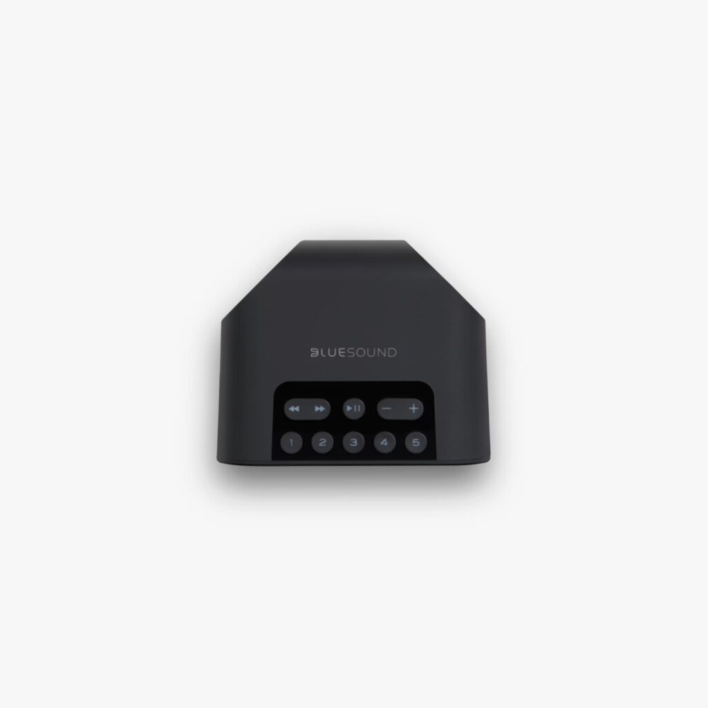 Bluesound Pulse Flex 2i wireless speaker