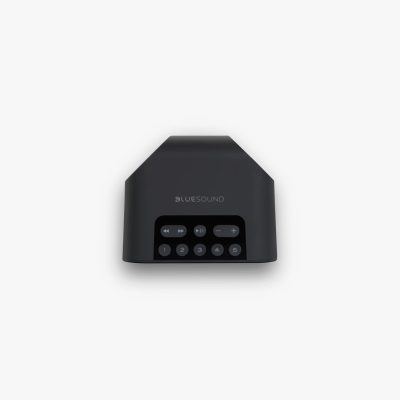 Bluesound Pulse Flex 2i wireless speaker