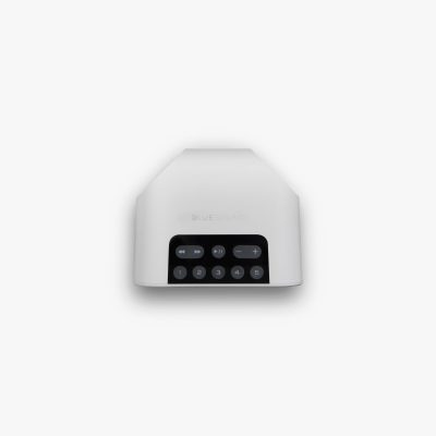 Bluesound Pulse Flex 2i wireless speaker