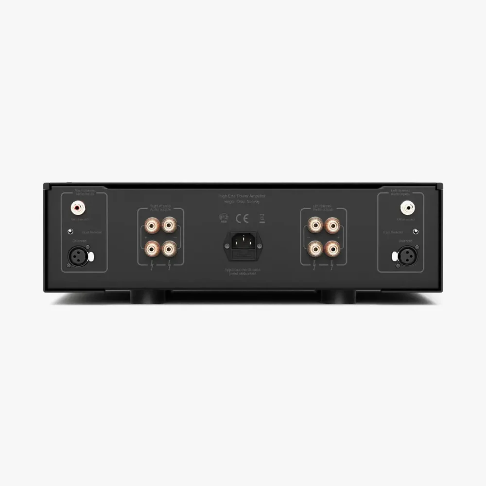 Hegel H20 power amplifier rear panel