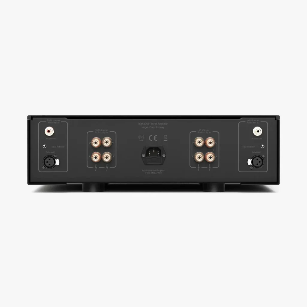 Hegel H20 power amplifier rear panel