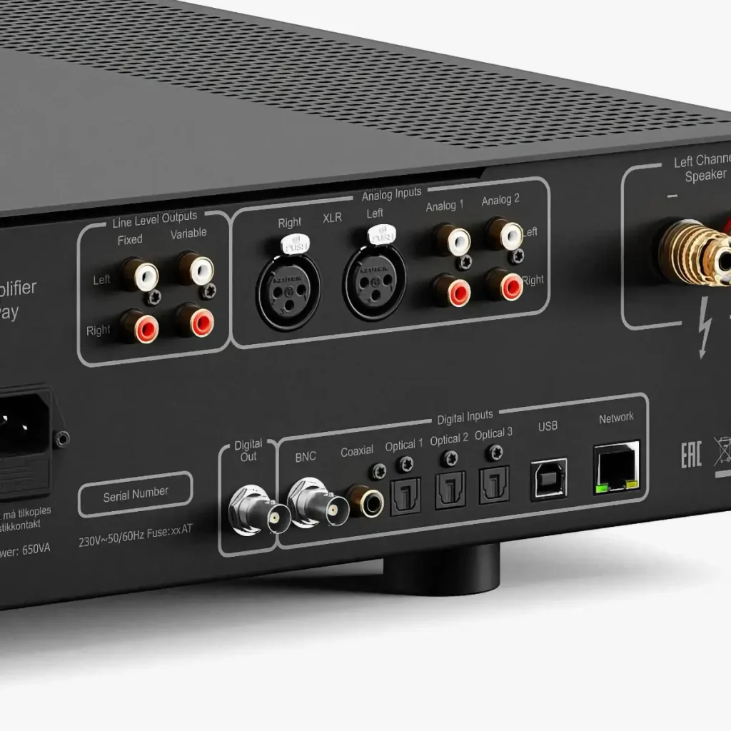 Hegel H400 inputs and outputs
