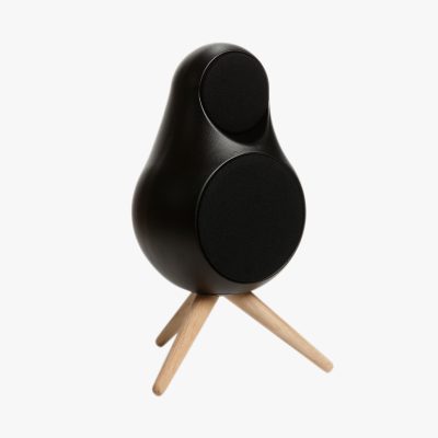 Jern speaker with tripod stand