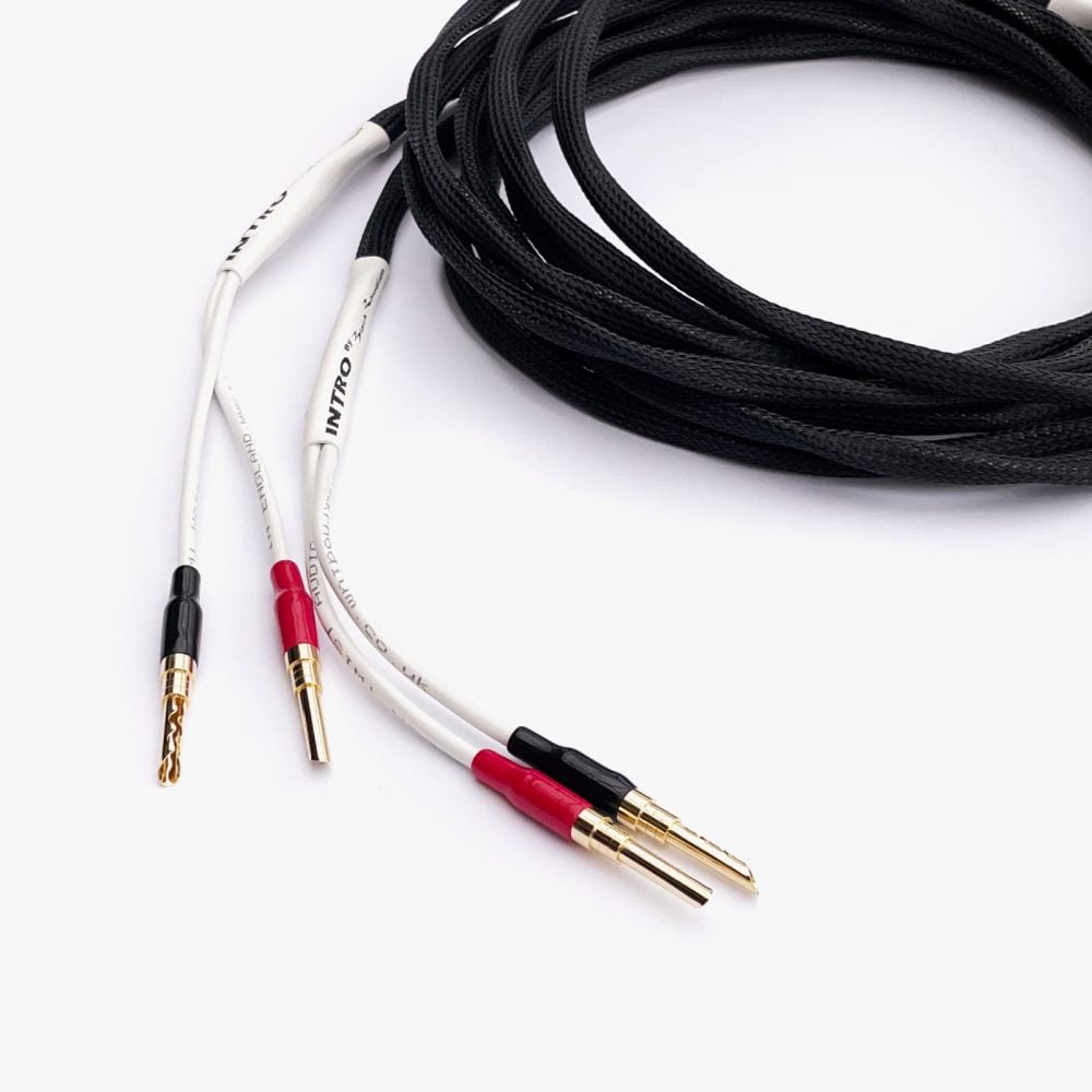 INTRO by Black Rhodium speaker cables