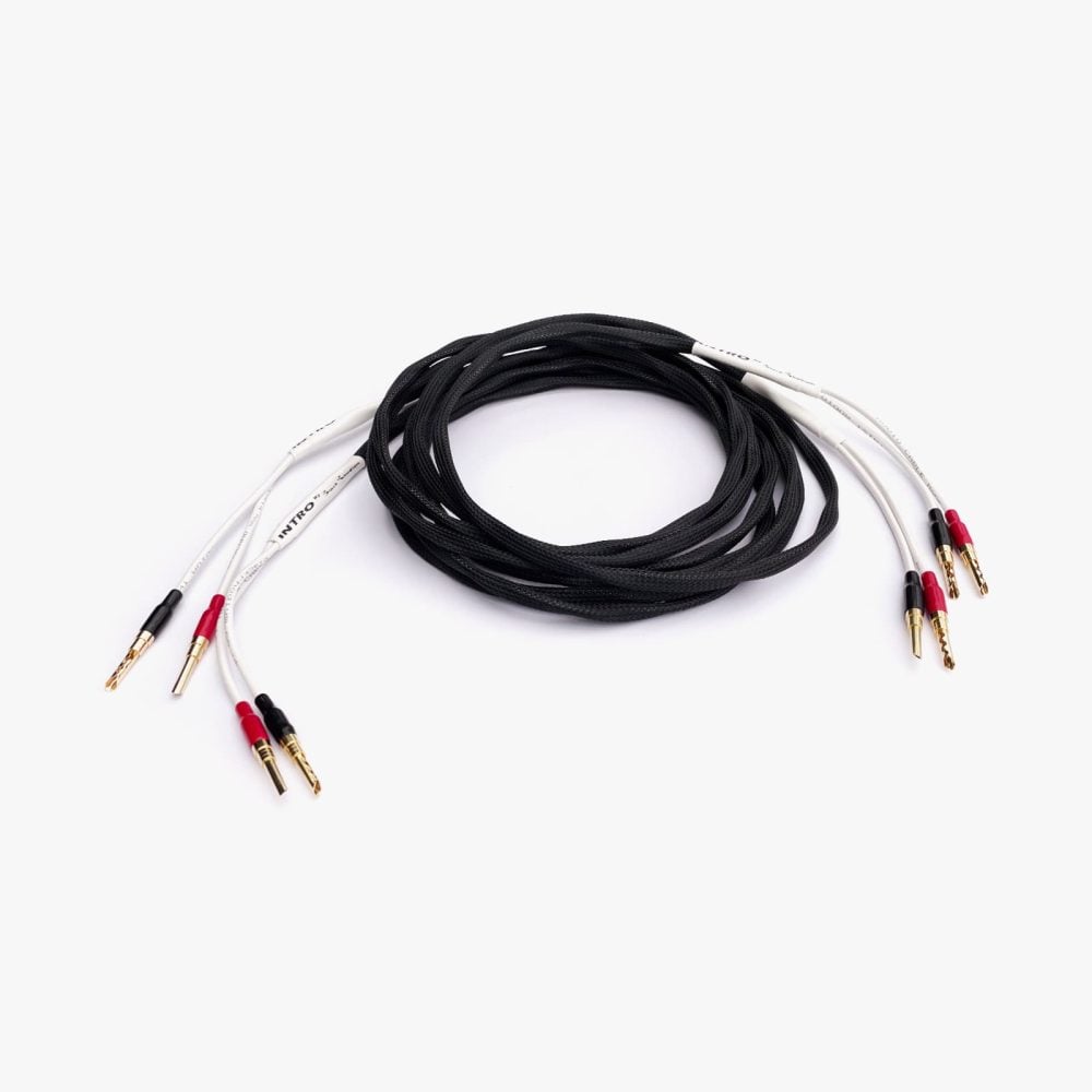 INTRO by Black Rhodium speaker cables