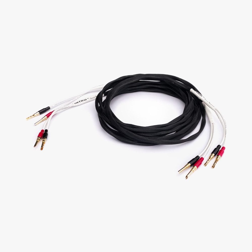 INTRO by Black Rhodium speaker cables