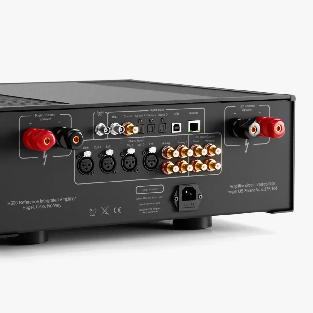 Hegel H600 rear panel connections