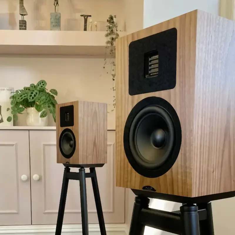 Neat Petite Classic close up with AMT driver
