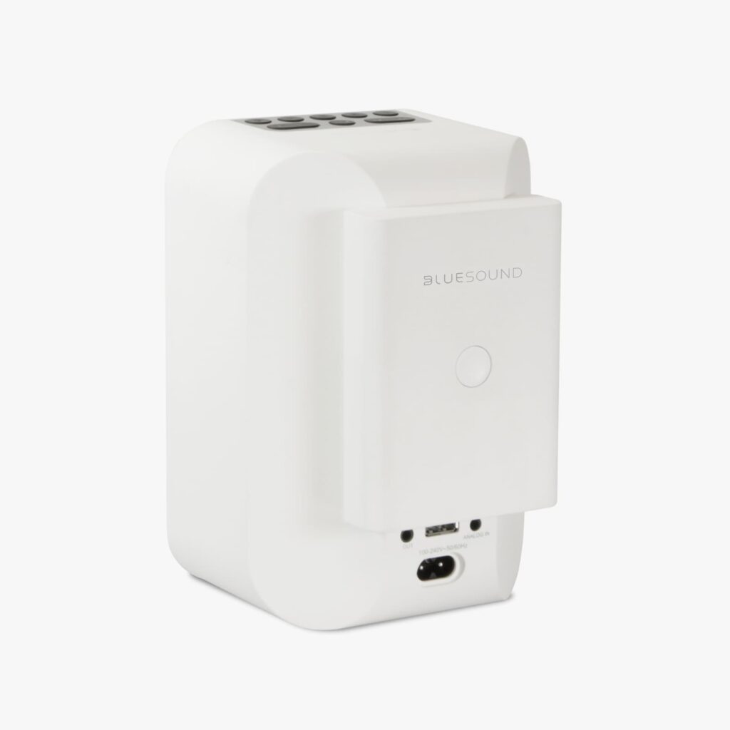 Bluesound Pulse Flex 2i wireless speaker with battery pack
