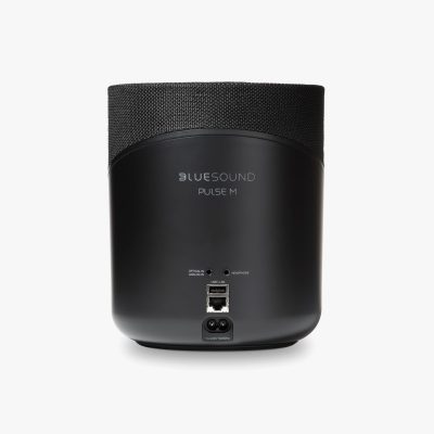 Bluesound Pulse M wireless speaker