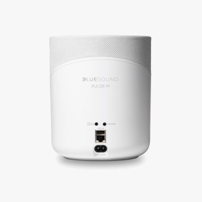 Bluesound Pulse M wireless speaker