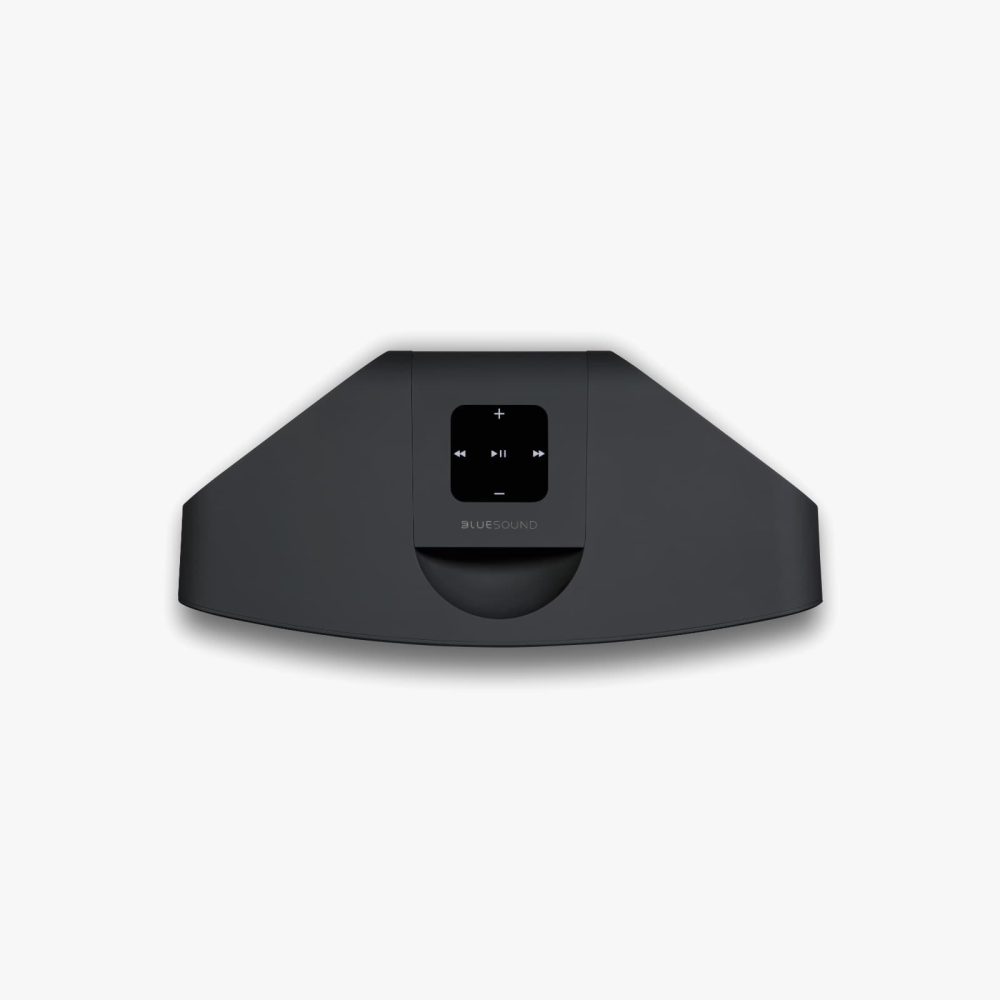 Bluesound Pulse Mini 2i