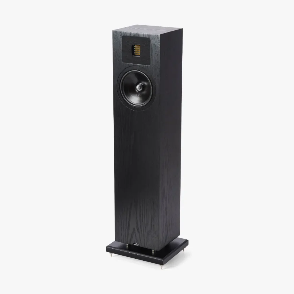 Neat Elite Classic speaker in black oak finish