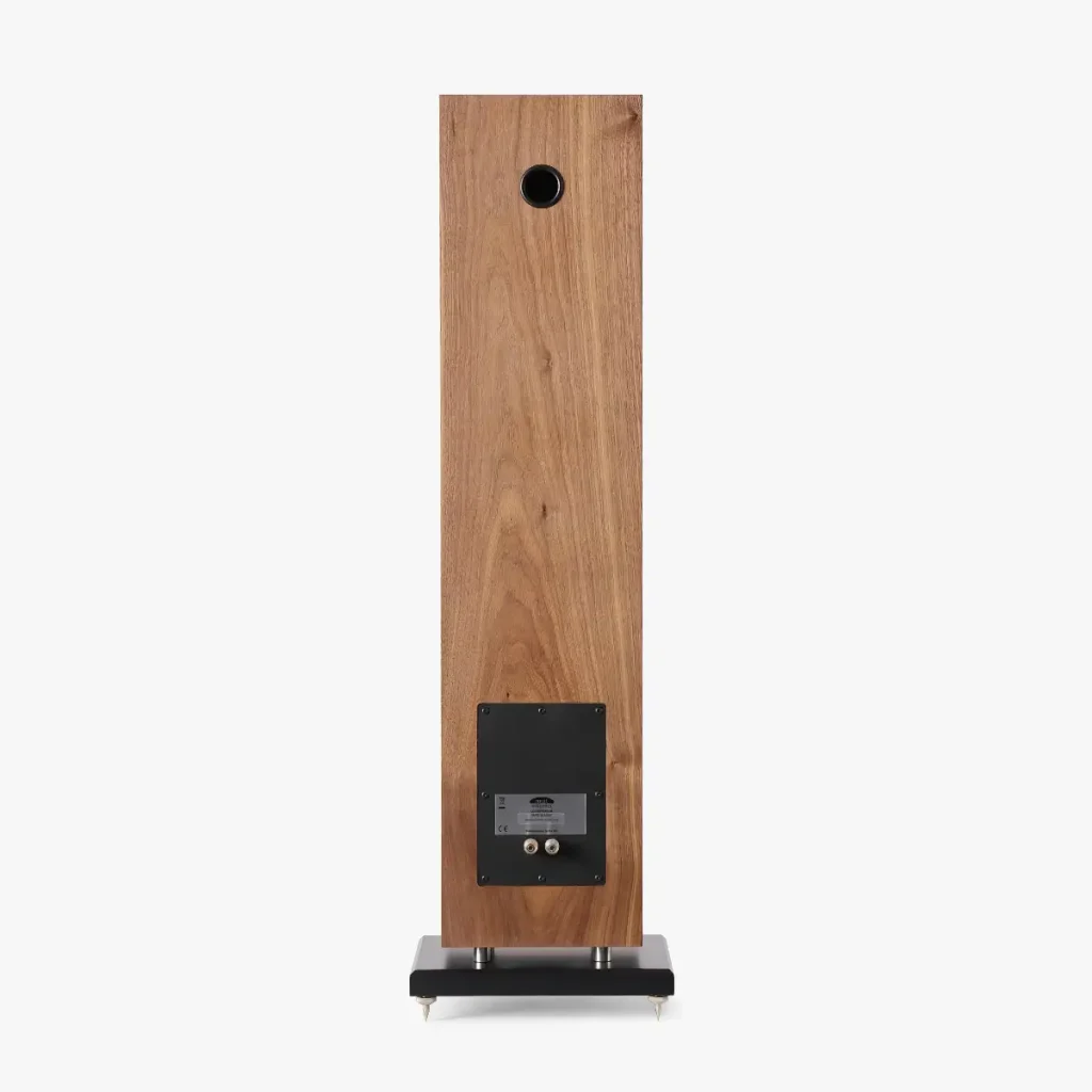 Neat Elite speaker viewed from bhind