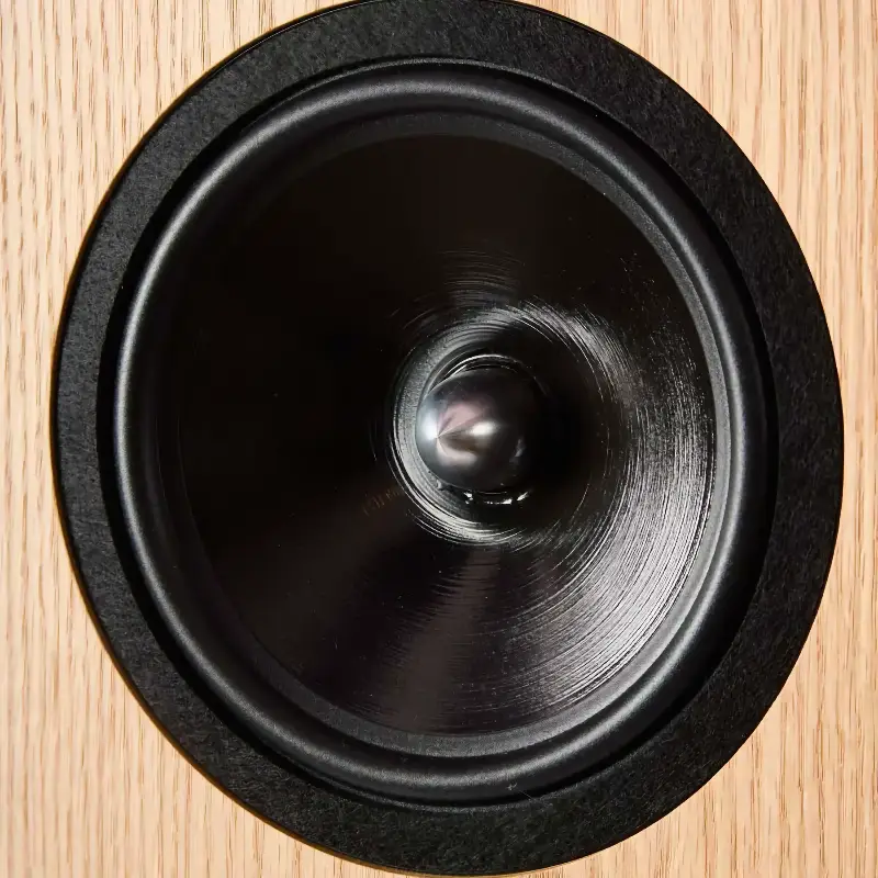 Neat Elite woofer up close