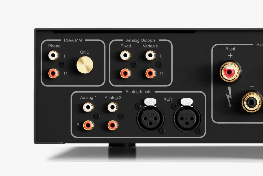 Hegel H190v rear panel showing MM phono input