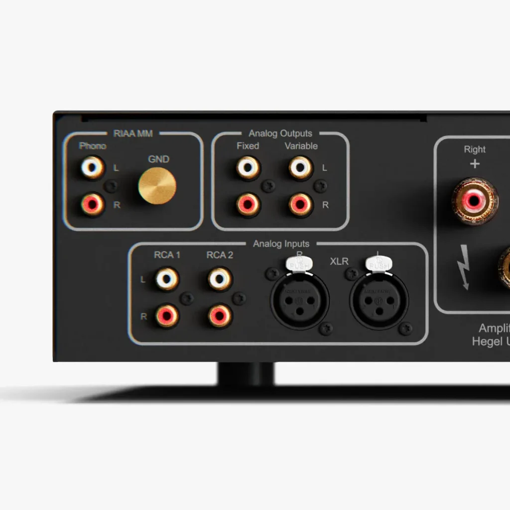Hegel H200 analogue inputs