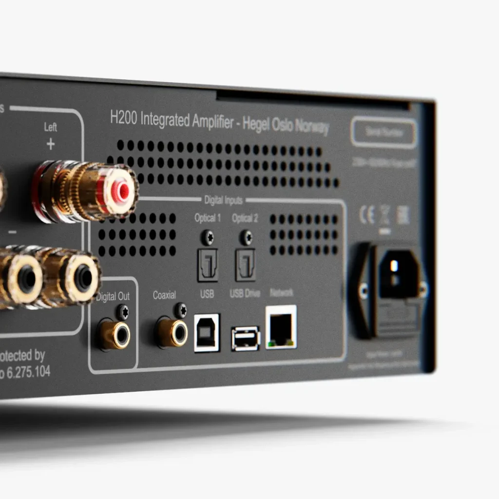 Hegel H200 digital inputs